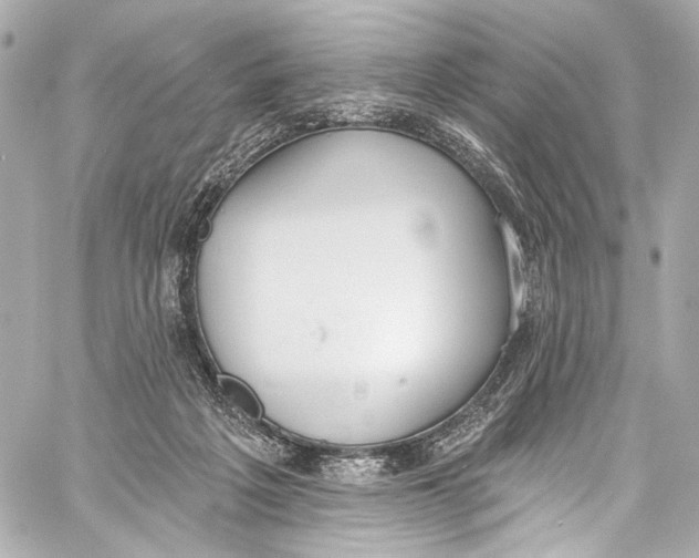 X0000057070217200510071441