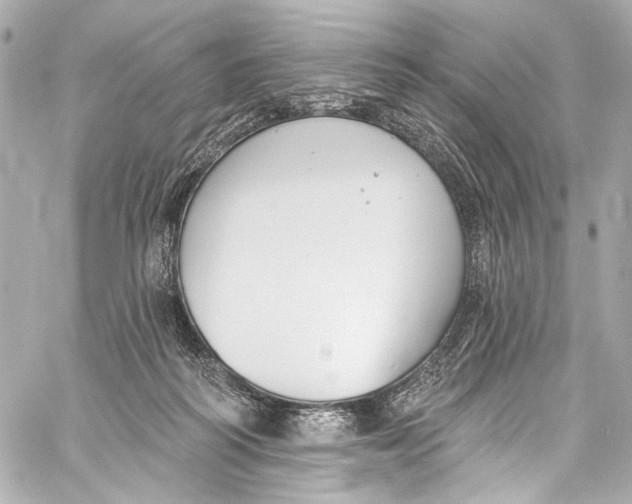 X0000057070218200510071441