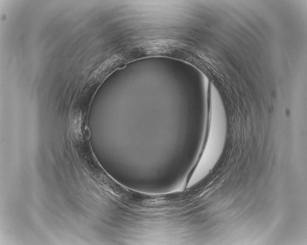 X0000057070219200510071441