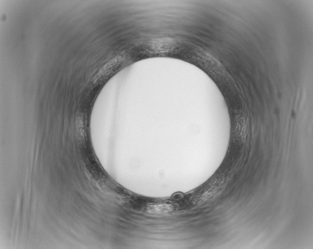 X0000057070220200510071441