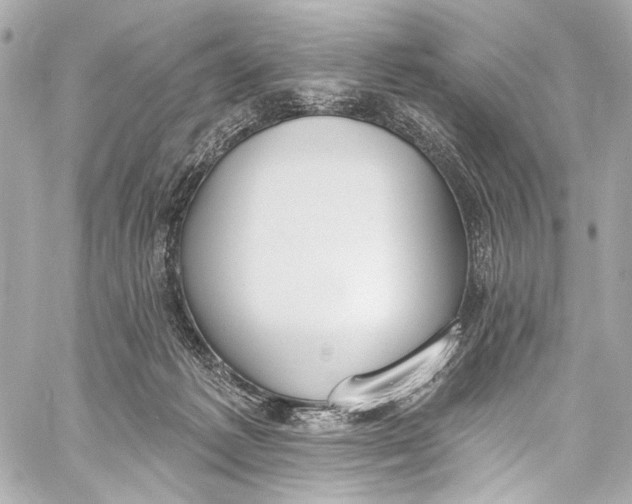 X0000057070221200510071441