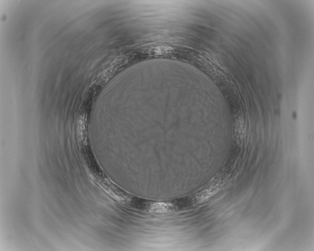 X0000057070222200510071441