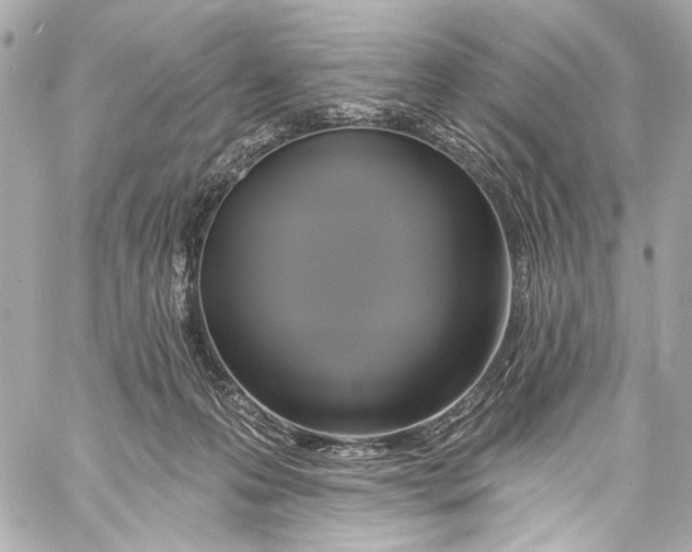 X0000057070223200510071441