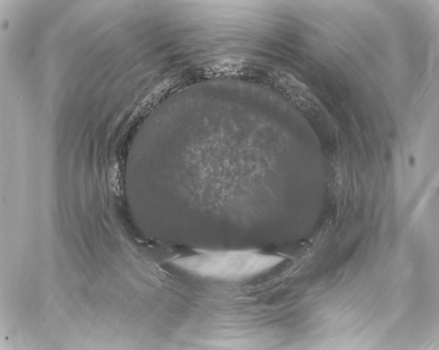 X0000057070224200510071441