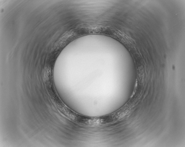 X0000057070225200510071441