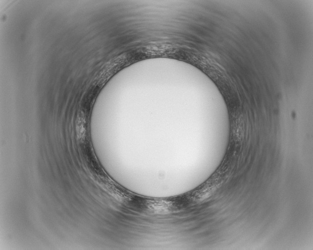 X0000057070226200510071441