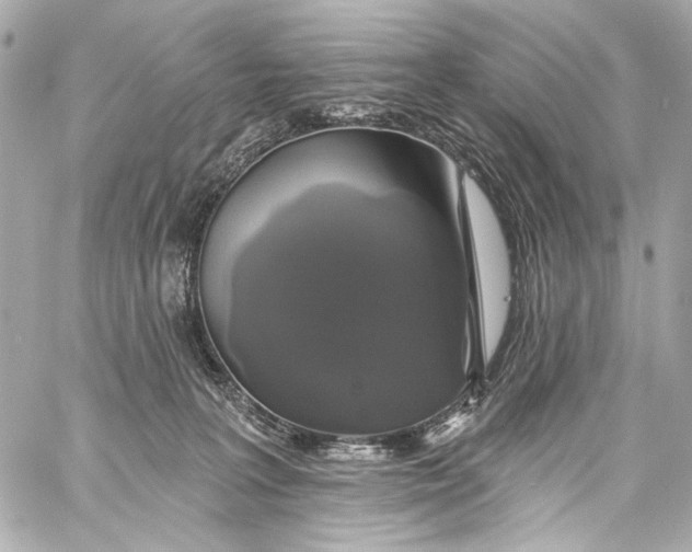 X0000057070227200510071441