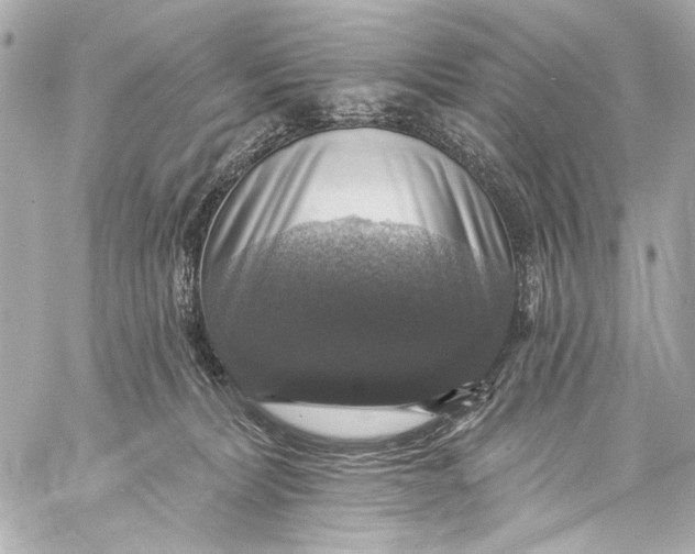 X0000057070228200510071441