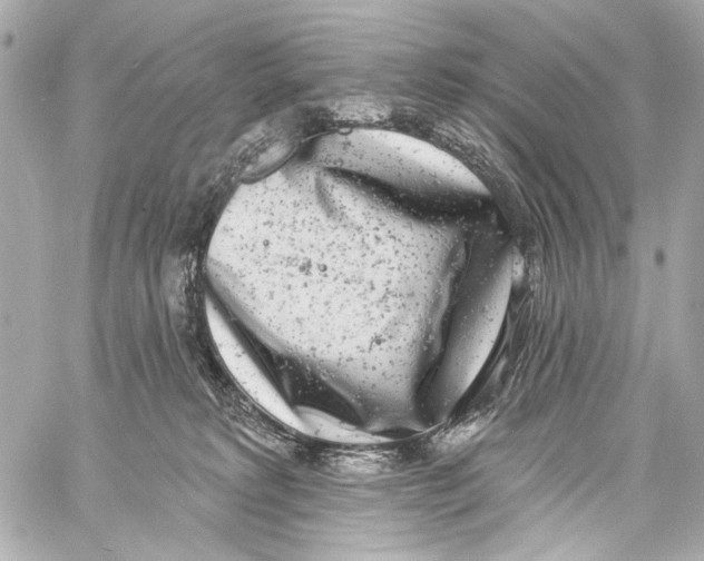 X0000057070229200510071441