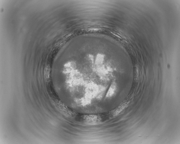 X0000057070230200510071441