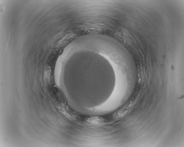 X0000057070231200510071441