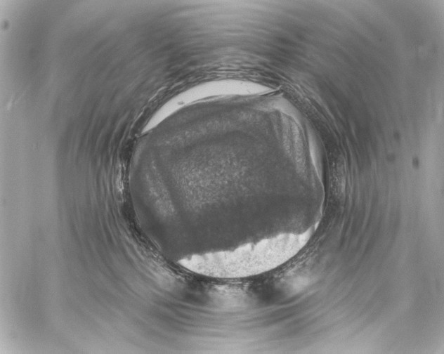 X0000057070232200510071441