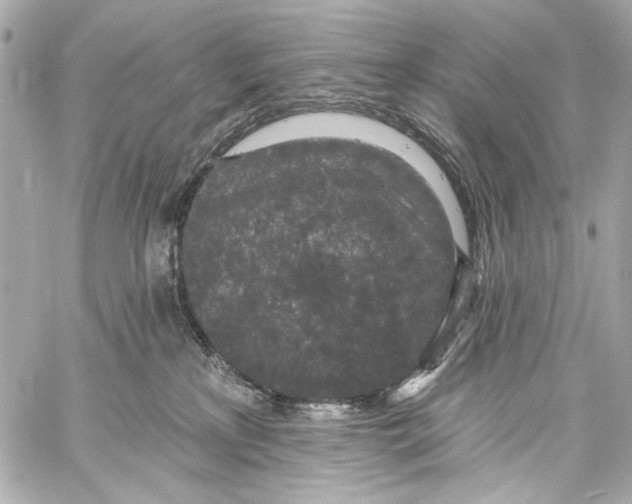 X0000057070233200510071441