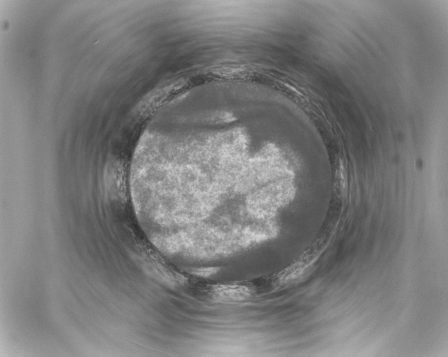 X0000057070234200510071441