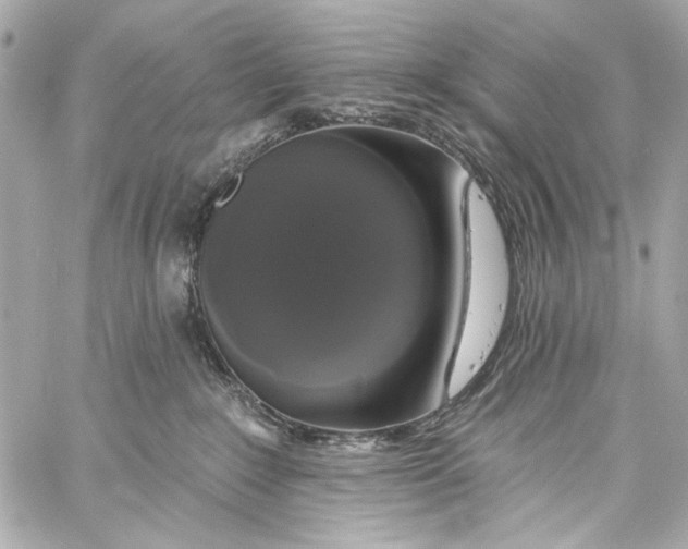 X0000057070235200510071441