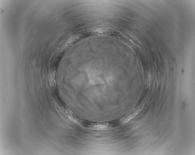 X0000057070236200510071440