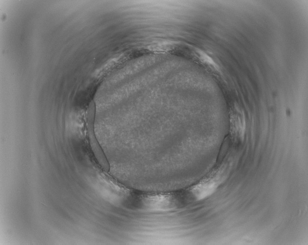 X0000057070237200510071440