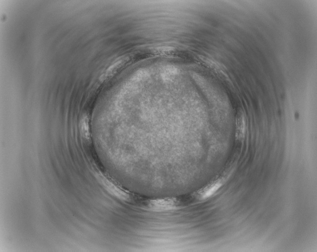 X0000057070238200510071440