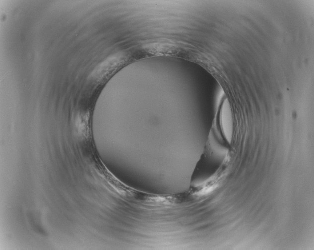 X0000057070239200510071440