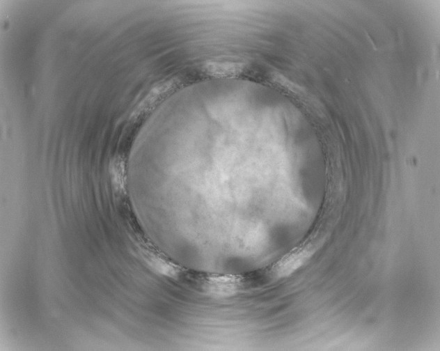 X0000057070240200510071440