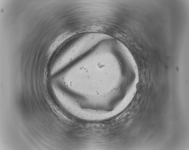 X0000057070242200510071440