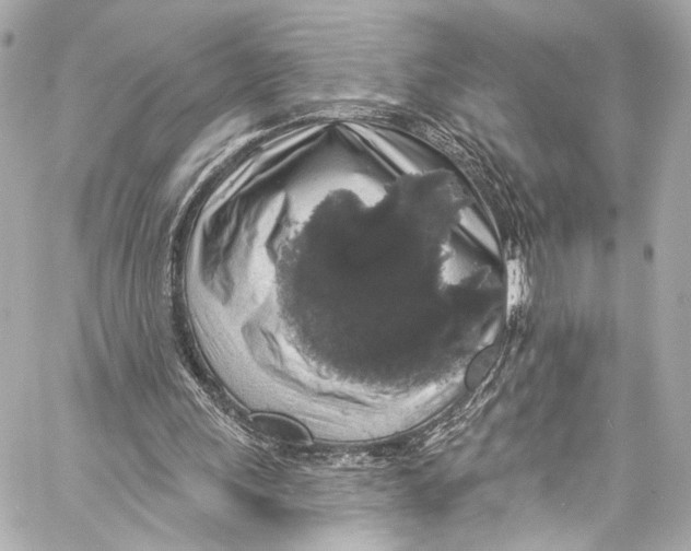 X0000057070243200510071440