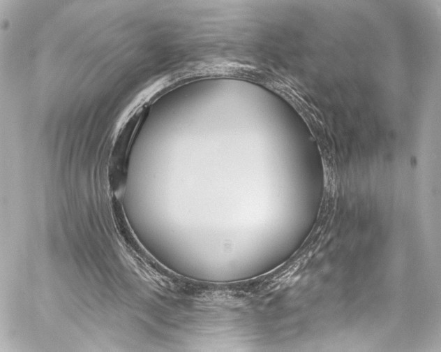 X0000057070244200510071440