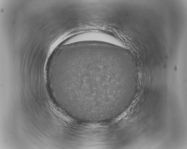 X0000057070246200510071440