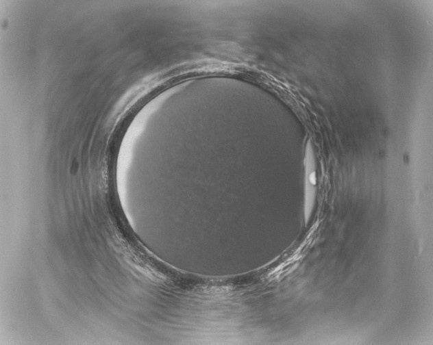 X0000057070247200510071440