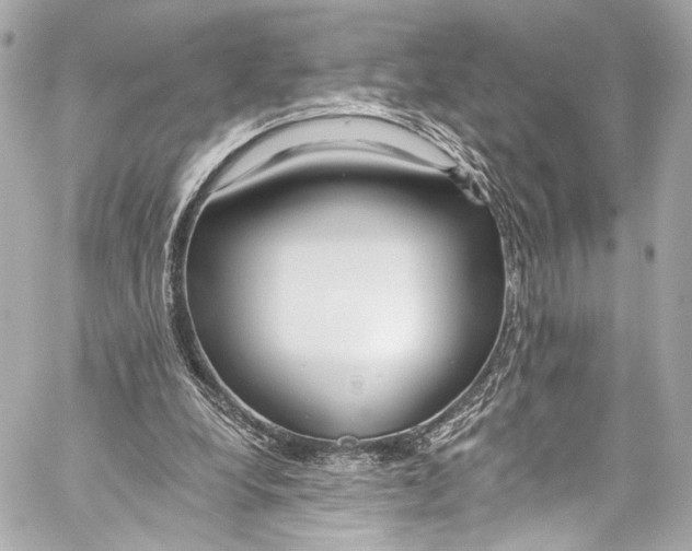 X0000057070248200510071440