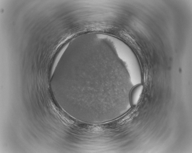 X0000057070249200510071440