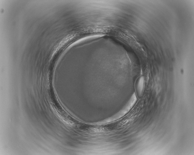 X0000057070250200510071440