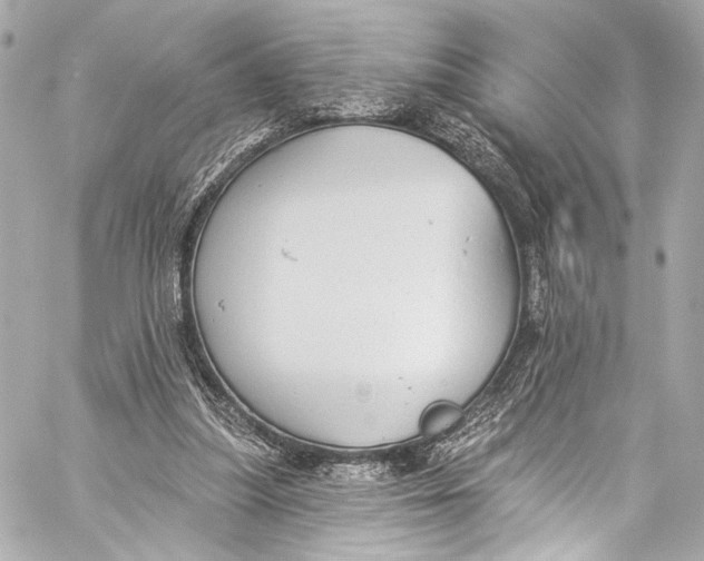 X0000057070251200510071440