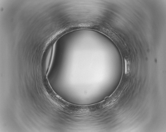 X0000057070252200510071440