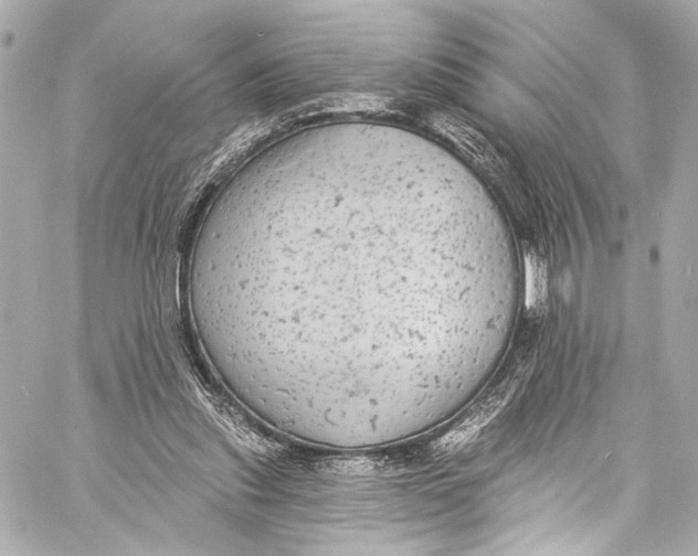 X0000057070253200510071440