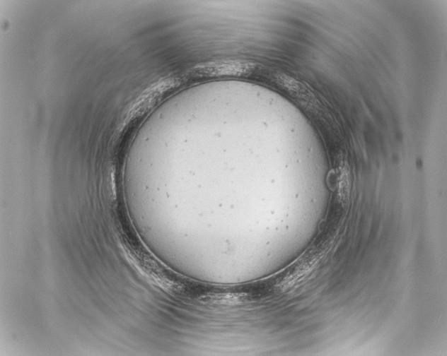 X0000057070254200510071440