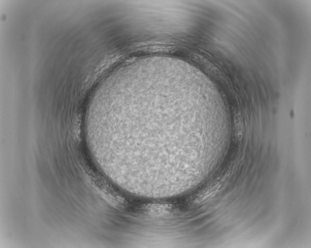 X0000057070255200510071440