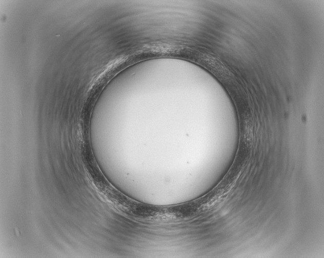 X0000057070256200510071440