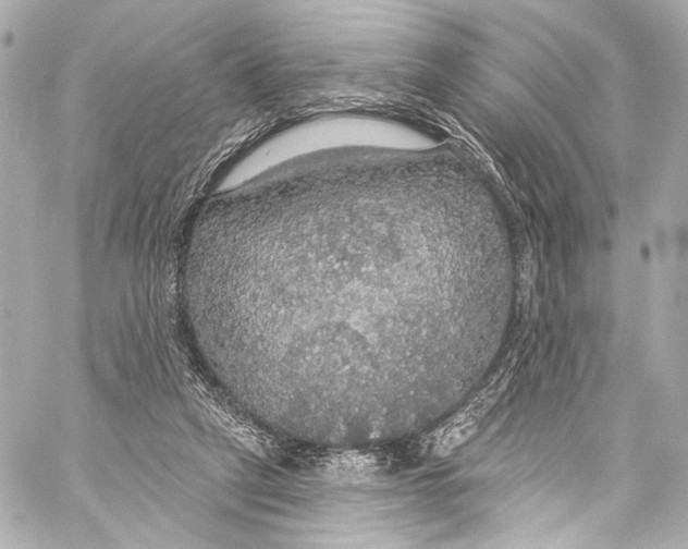 X0000057070257200510071440