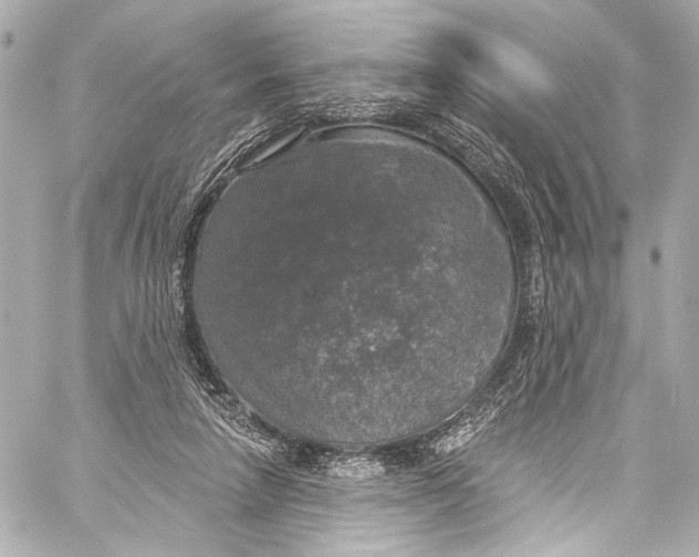 X0000057070258200510071440