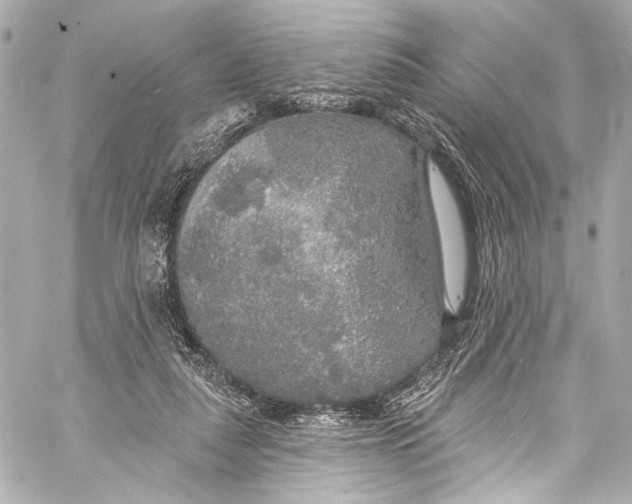 X0000057070259200510071440