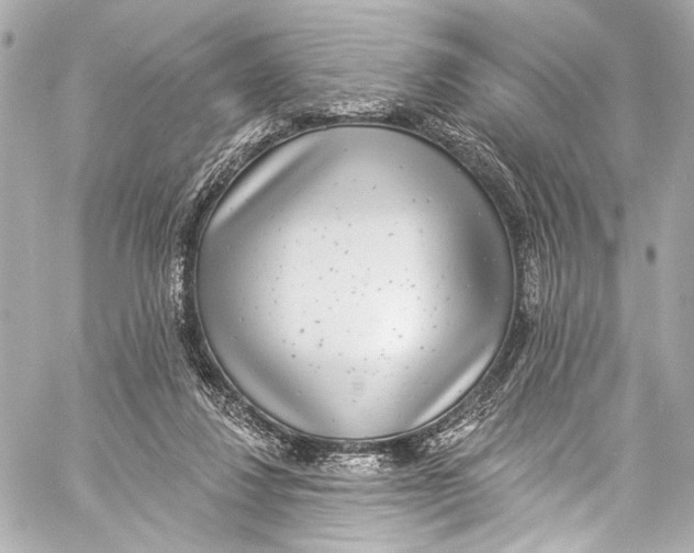 X0000057070260200510071440