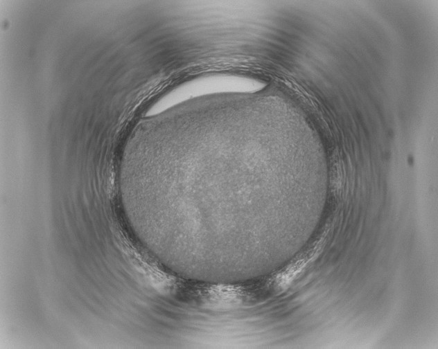 X0000057070261200510071440