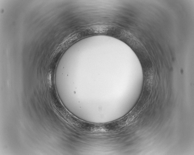 X0000057070262200510071440