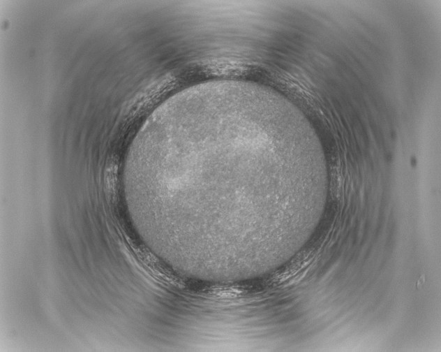 X0000057070263200510071440