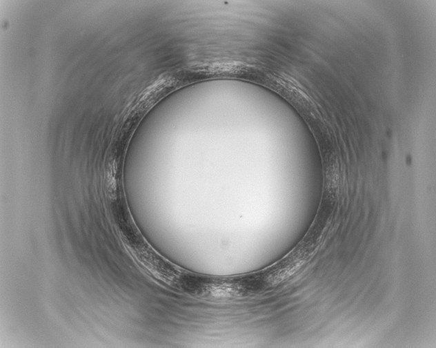 X0000057070264200510071440