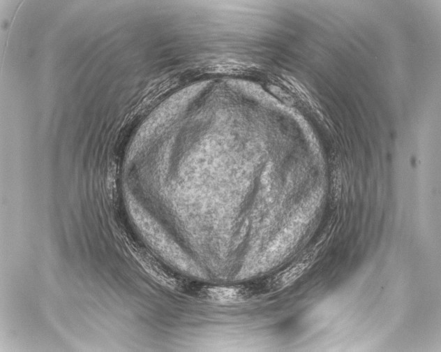 X0000057070265200510071440