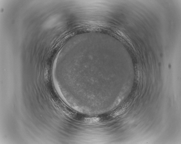 X0000057070266200510071440