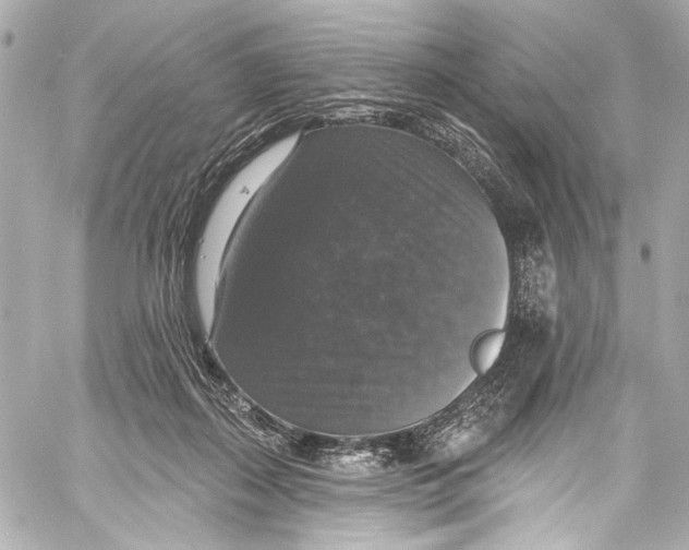 X0000057070267200510071440