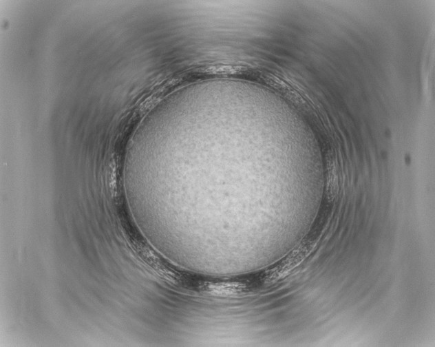 X0000057070268200510071440